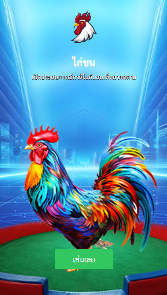 winner55 ไก่ชน